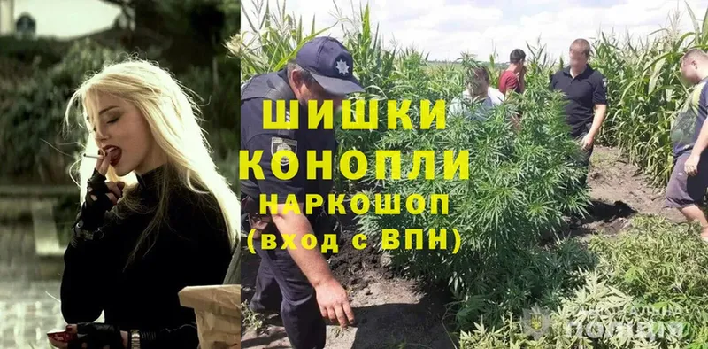 Марихуана OG Kush  Баймак 